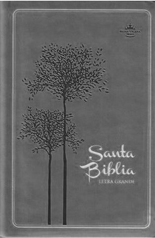 Biblia Reina Valera 60 mediana gris letra grande