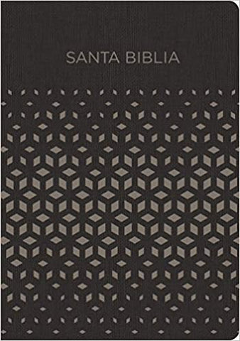 Biblia Reina Valera 1960 regalos y premios negro/plata imitación piel
