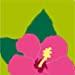 B  Nvi Ultrafina Dos Tonos Flor Rosa/Verde