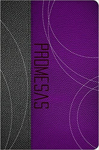 Biblia Reina Valera 60 Promesas edición jóvenes concordancia piel gris purpura
