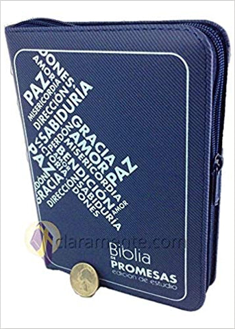 B. RVR60 chica promesas Estudio Azul RVR045cZa