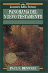 Panorama del nuevo testamento rustico