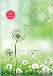 B. RV1960 promesas inspira TD CI 13p