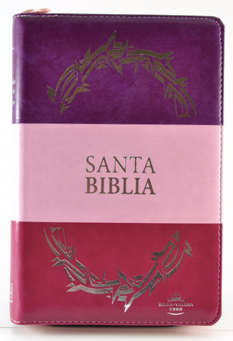 Biblia Reina Valera 60 letra grande tricolor rosa morado