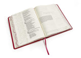 Biblia Reina Valera 60 de apuntes edición ilustrada símil piel rosado