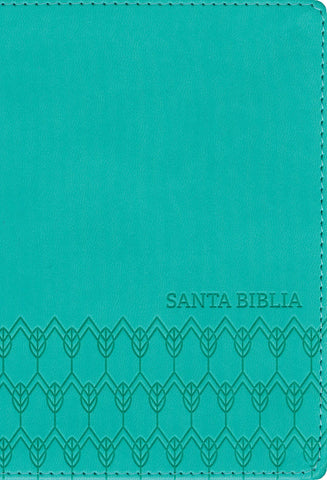 B. NTV edición compacta menta