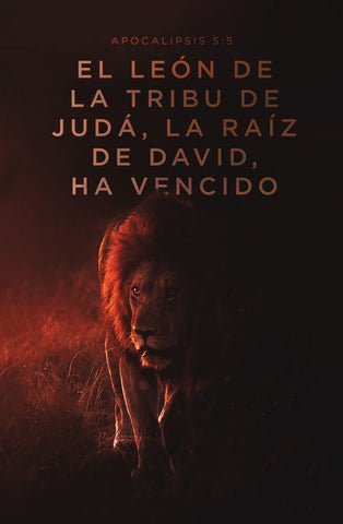 Biblia Reina Valera 60 letra grande tapa dura León