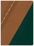 B. RV1960 Estudio Holman castaño verde bosque con filigrana SP CONC 10P