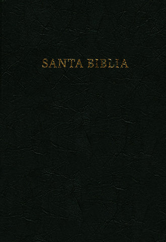 B. RVR60 letra grande manual con referencia