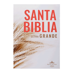 Biblia Reina Valera 60 Rústica Letra Grande