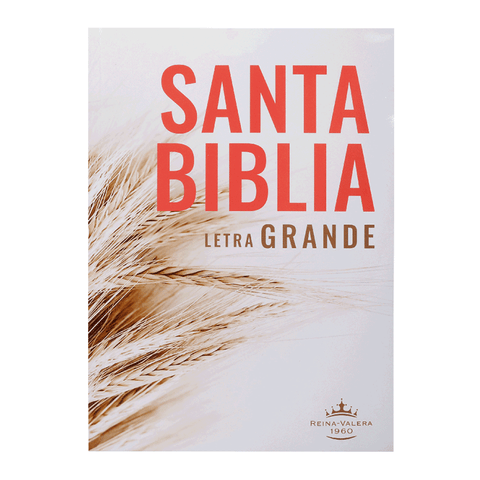 Biblia Reina Valera 60 Rústica Letra Grande