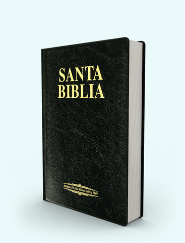 Biblia  Reina Valera Antigua 09 letra grande con concordancia | - tapa vinil tamaño manual - negro