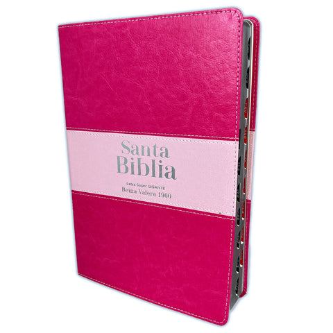 Biblia Reina Valera 60 letra super gigante bitono rosa