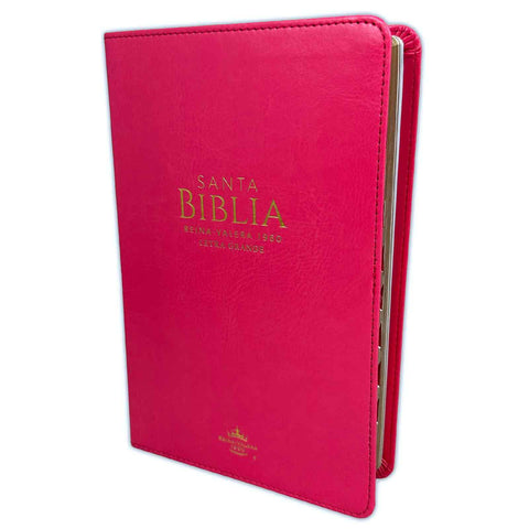 Biblia Reina Valera 60 Clásica fucsia letra grande imitación piel 12.5 puntos PJR