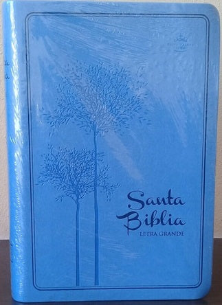 Biblia Reina Valera 60 mediana azul letra grande