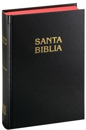 Biblia Reina Valera 1960 Chica Tela negro