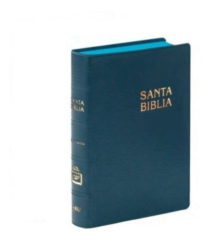 Biblia Reina Valera 60 vinil azul chica