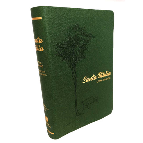 Biblia letra grande tapa blanda Cm Verde Reina Valera 1960