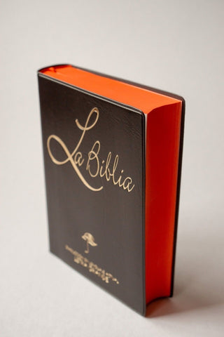 Biblia Chica Letra grande vinil negro
