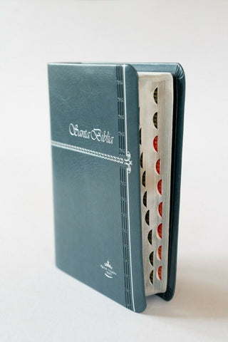 Biblia chica imitación piel letra grande tiara/gris/verde TI