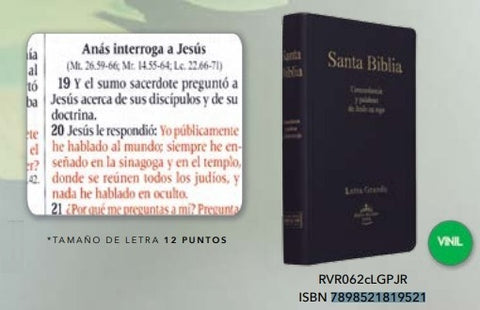 Biblia RVR60 mediana vinil color negro RVR062CLGPJR