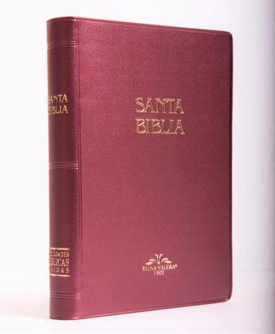 Biblia  Mediana 1909 Vinil Vino Vro52