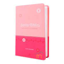 Biblia Nueva Versión Internacional manual fucsia y rosa cuero italiano