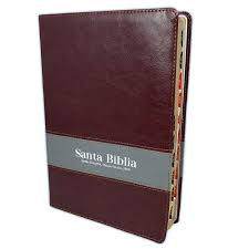 Biblia Reina Valera 60 distinción letra gigante marrón/gris índice 14P PJR