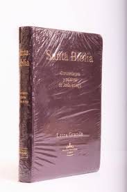 Biblia Reina Valera 60 mediana vinil color vino letra grande PJR