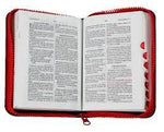 Biblia Reina Valera 60 bolsillo jeans azul rojo QR con cierre e índice PJR
