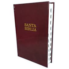 Biblia NTV Letra super gigante vino tinto tapa dura con índice LSG 14 puntos