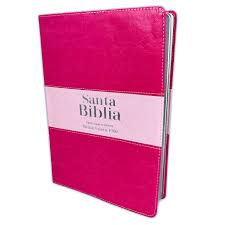 Biblia Reina Valera 60 Bitono letra super gigante rosa/rosa18P PJR