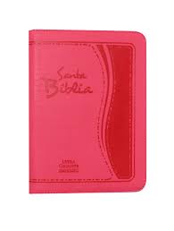 Biblia RVR60 letra gigante rosa imit piel canto