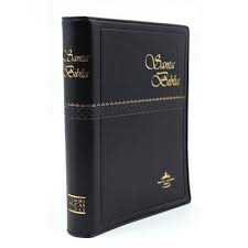 Biblia Reina Valera 60 bolsillo vinil negro