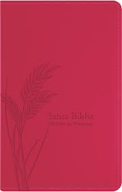 Biblia Reina Valera 60 edición promesas fucsia tamaño mediana cierre 12P