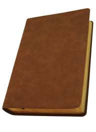 Biblia NVI Lucado palabra de aliento Leathersoft café interior a dos colores