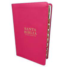 Biblia Reina Valera 60 Clásica manual letra grande rosa índice 12P PJR
