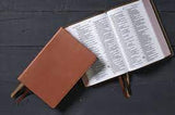 Biblia Reina Valera 60 colección premier caramelo interior a dos colores letra grande