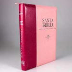 Biblia Reina Valera 60 letra super gigante rosa fucsia cierre e índice 19P PJR