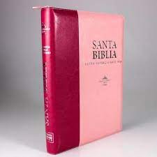 Biblia Reina Valera 60 letra super gigante rosa fucsia cierre e índice 19P PJR