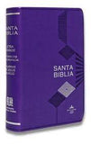 Biblia Reina Valera 60 chica letra grande purpura PJR MDM