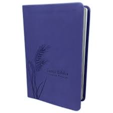 Biblia Reina Valera 60 edición promesas especial lavanda manual 12P