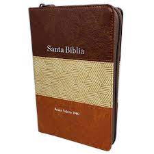Biblia Reina Valera 60 letra grande Tricolor marrón beige café, cierre e índice 12 PJR
