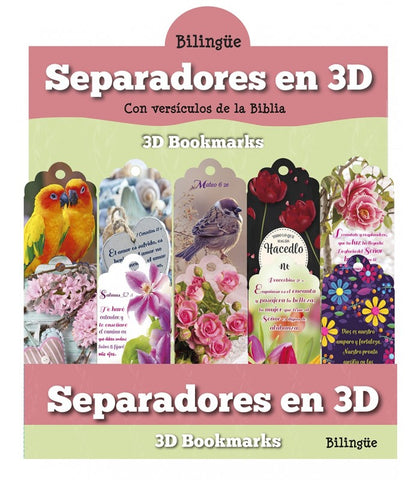 Exhibidor separador para dama 3D