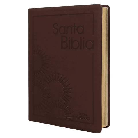 Biblia Reina Valera 60 letra gigante imitación piel vino PJR