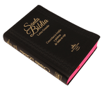 Biblia Reina Valera 60 mediana vinil negro letra grande, índice PJR