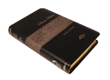 Biblia Reina Valera 909 mediana negro plata letra grande