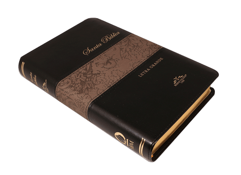 Biblia Reina Valera 909 mediana negro plata letra grande