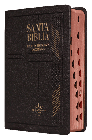 Biblia Reina Valera 60 compacta letra grande vinil marrón con índice fuente de bendiciones
