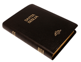 Biblia Reina Valera 09 Mediana 1909 imitación piel negro